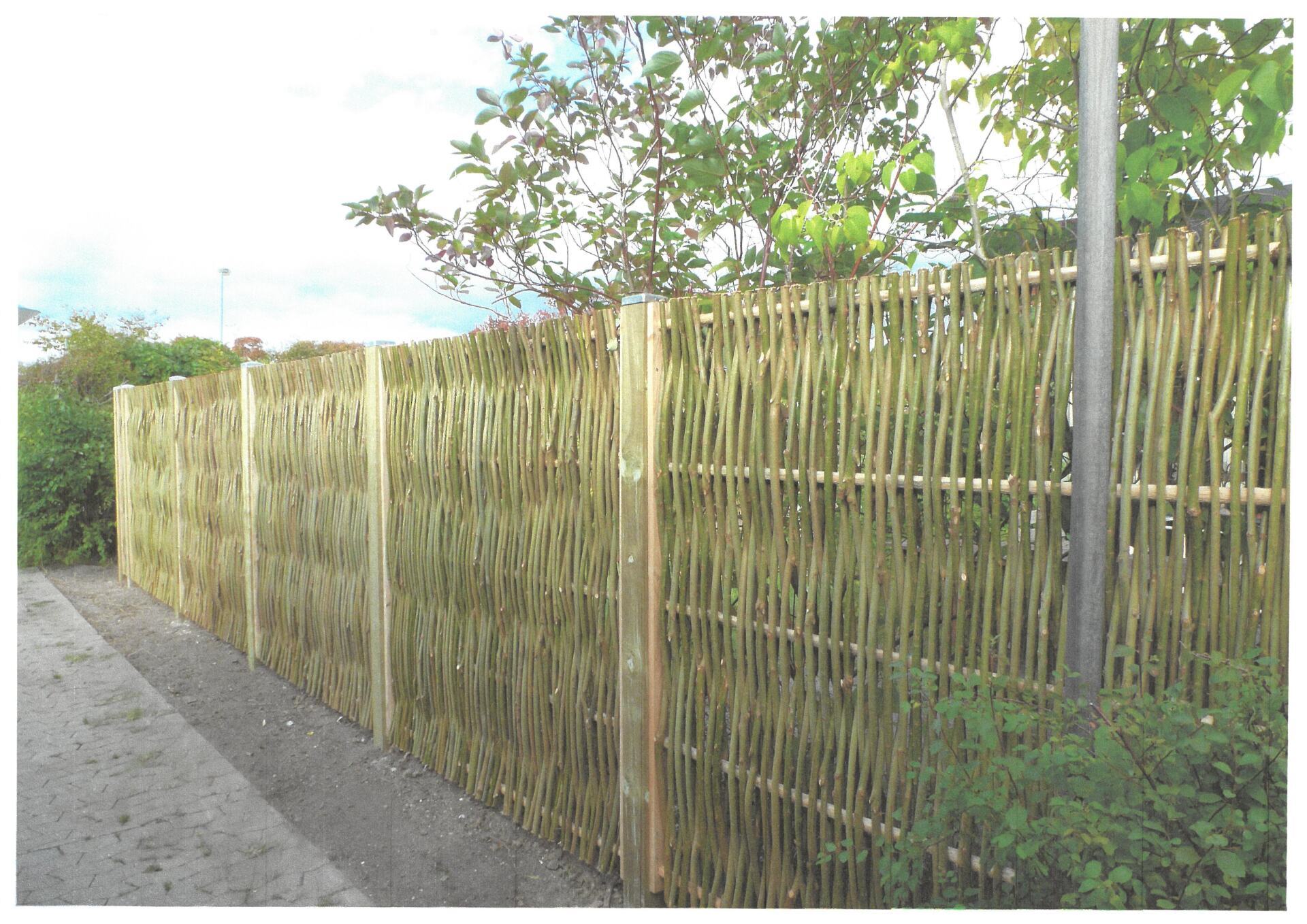 Indpakket bambushegn