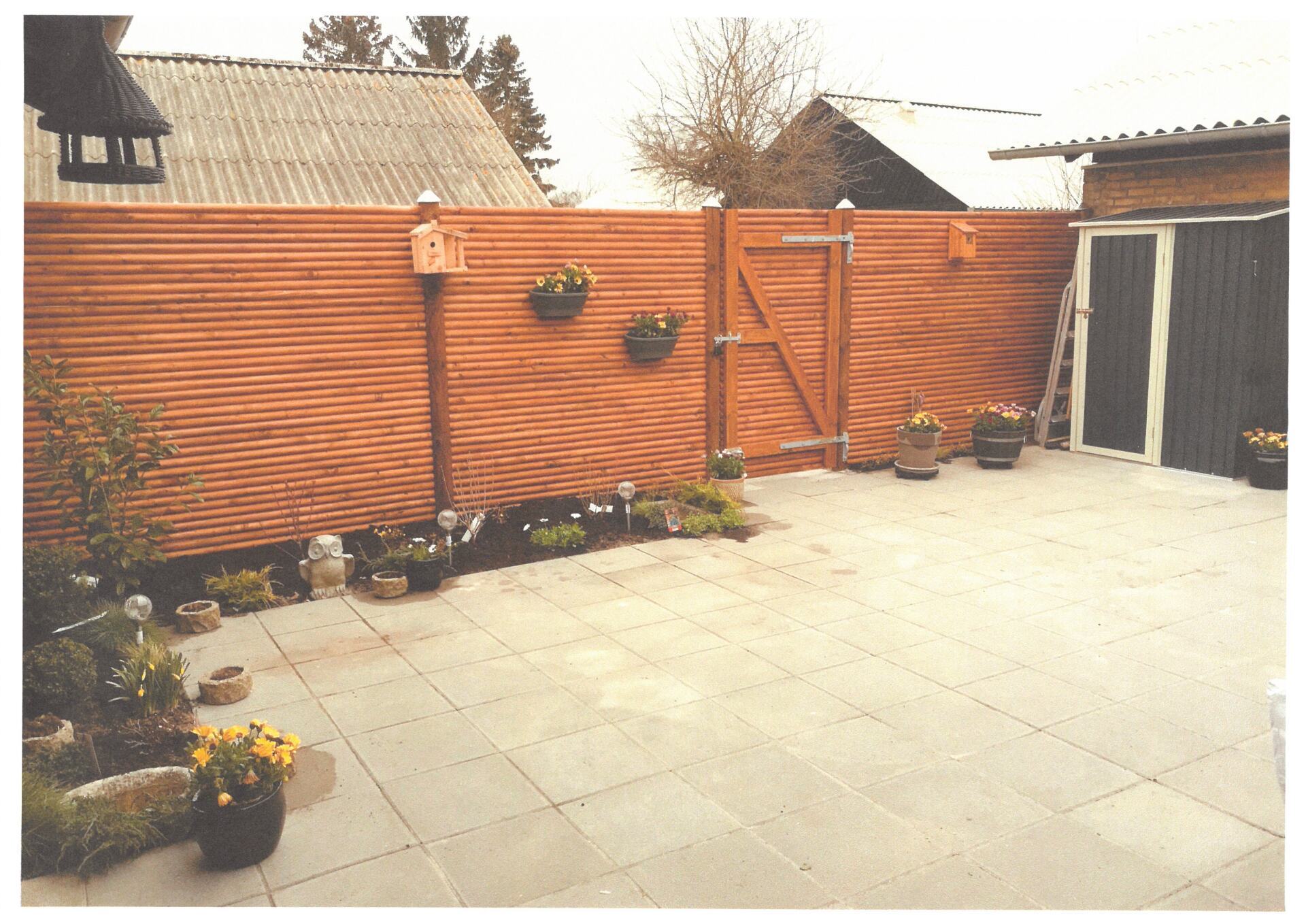 Brun hegn i baghaven