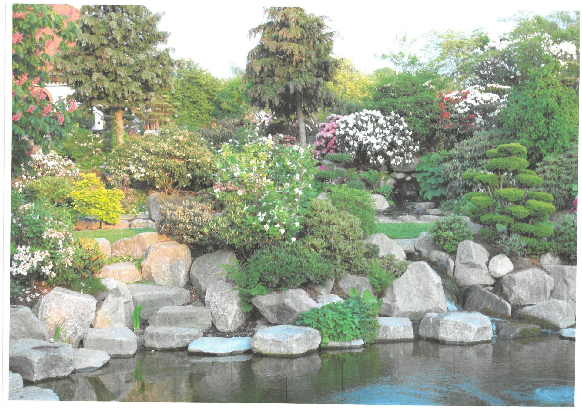 Buske i stenhave med en dam