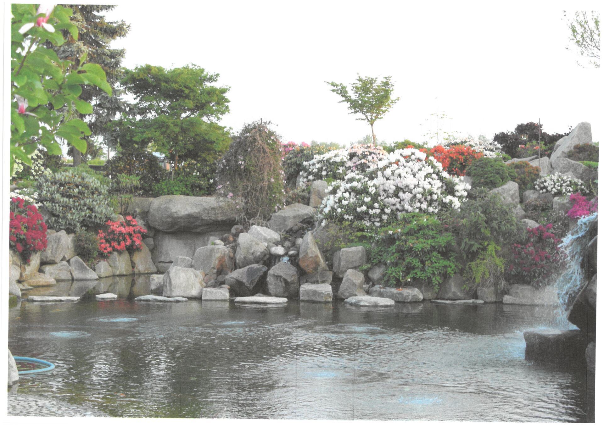 Stor have i japansk stil med en række buske og en stor dam