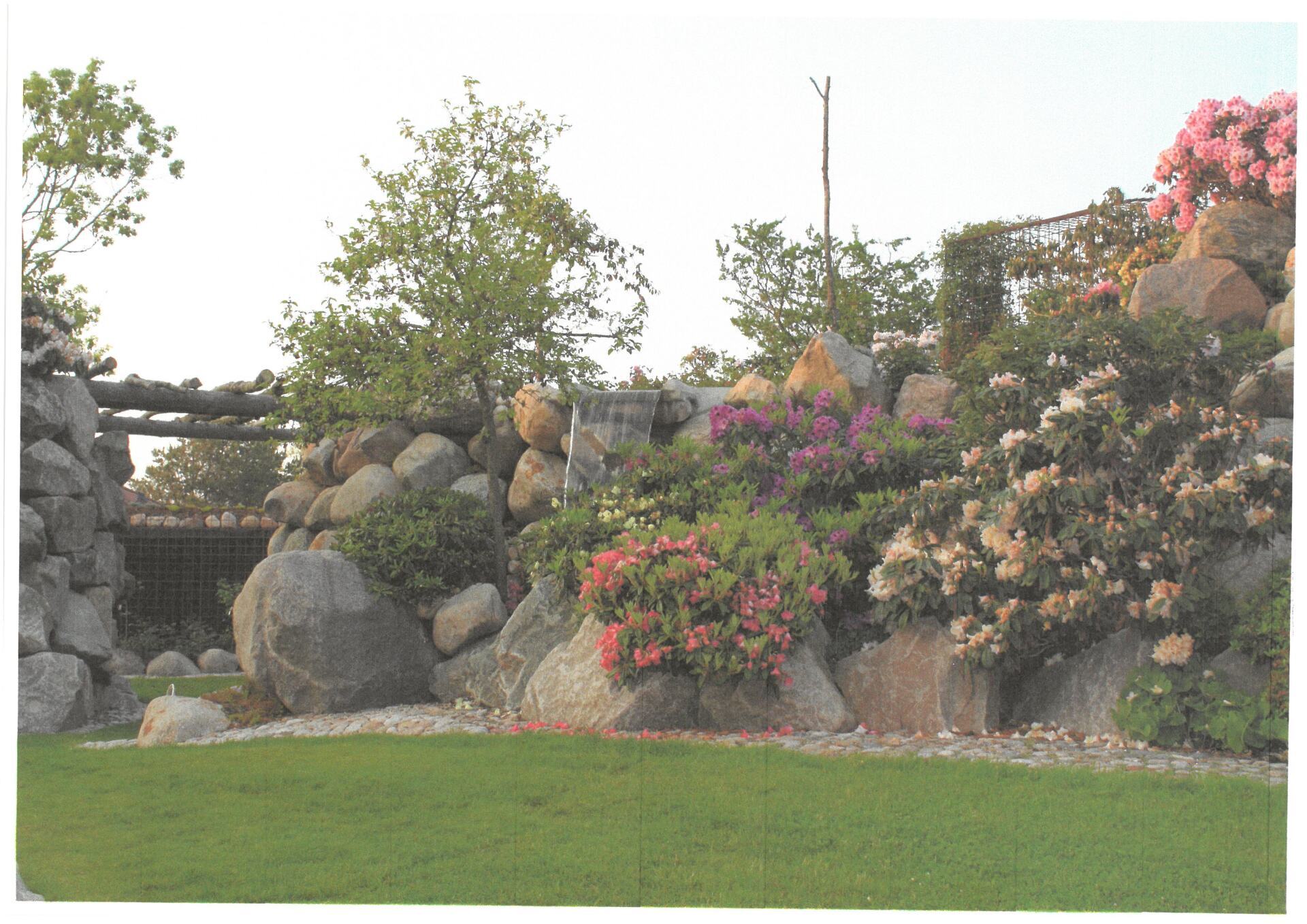 Buske plantet i stenhave