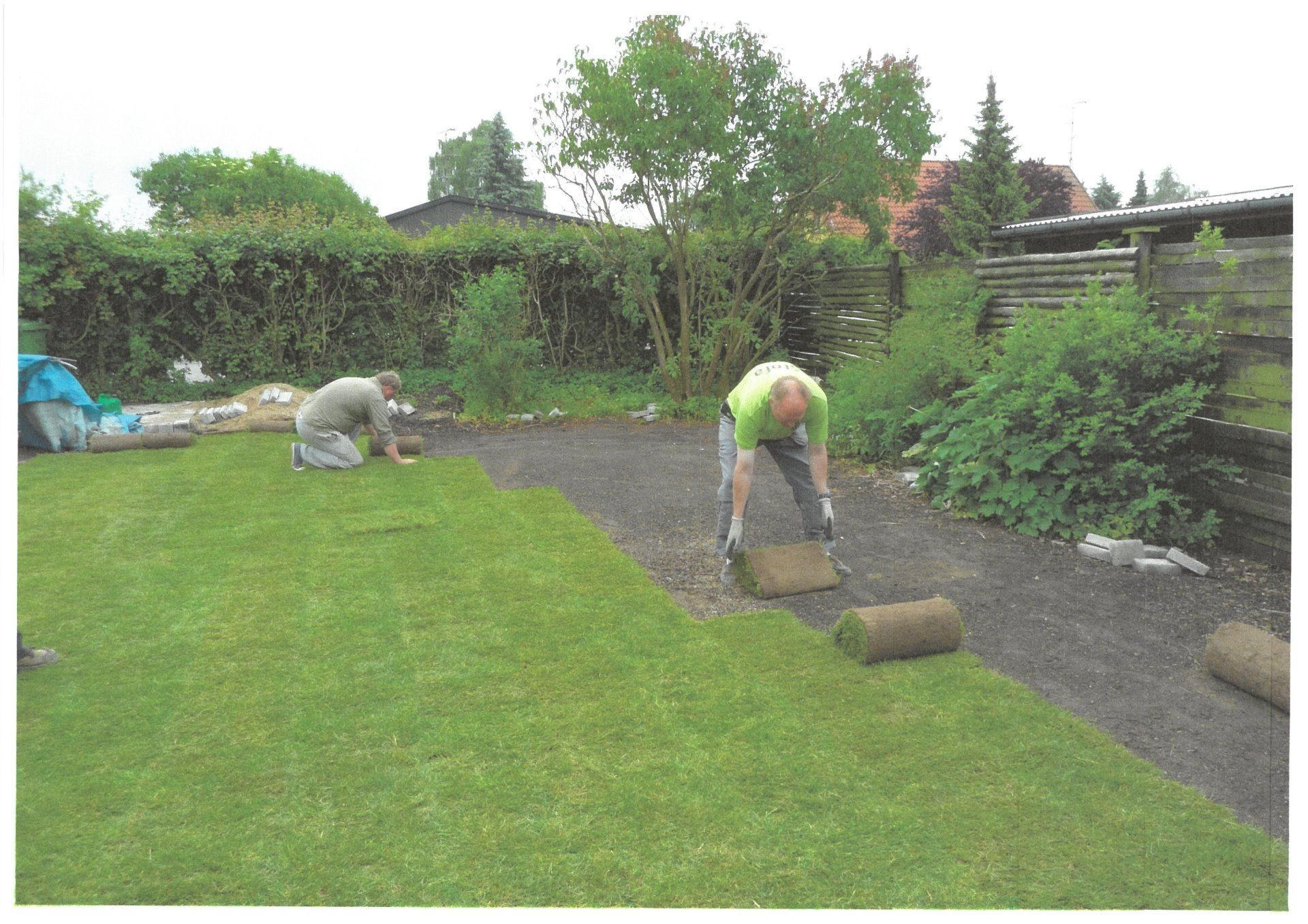 To mænd ruller græsplæne ud