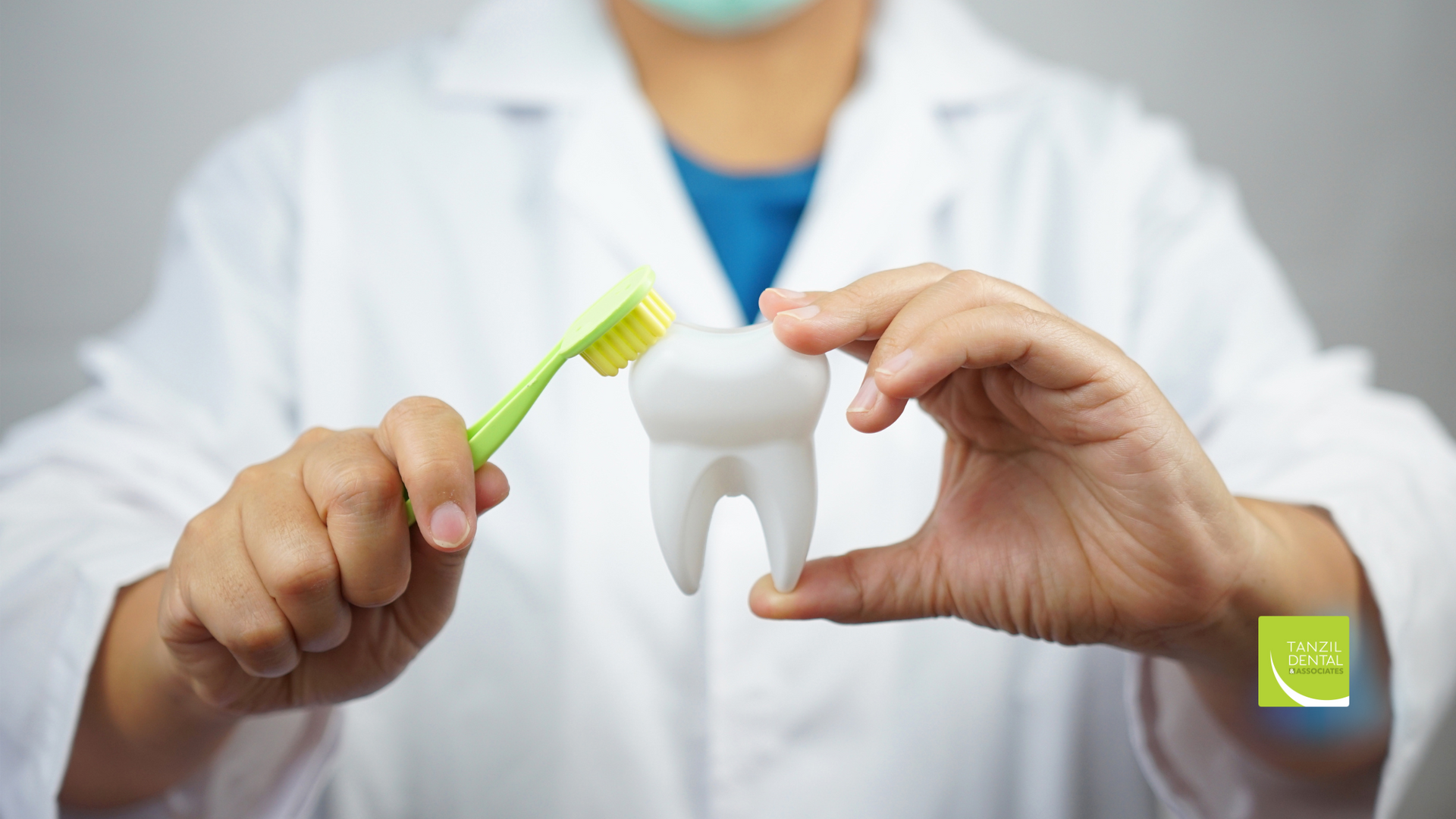 A dentist is holding a tooth and a toothbrush in his hands.