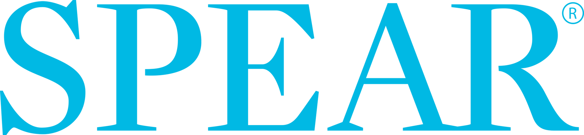 Spear education logo