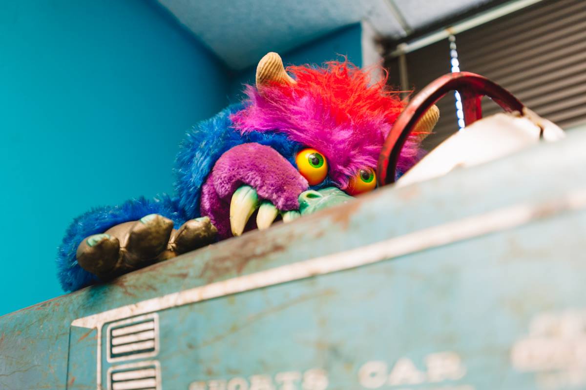 Stuff Toy on Car — Rolling Meadows, IL — Trans-Fixed