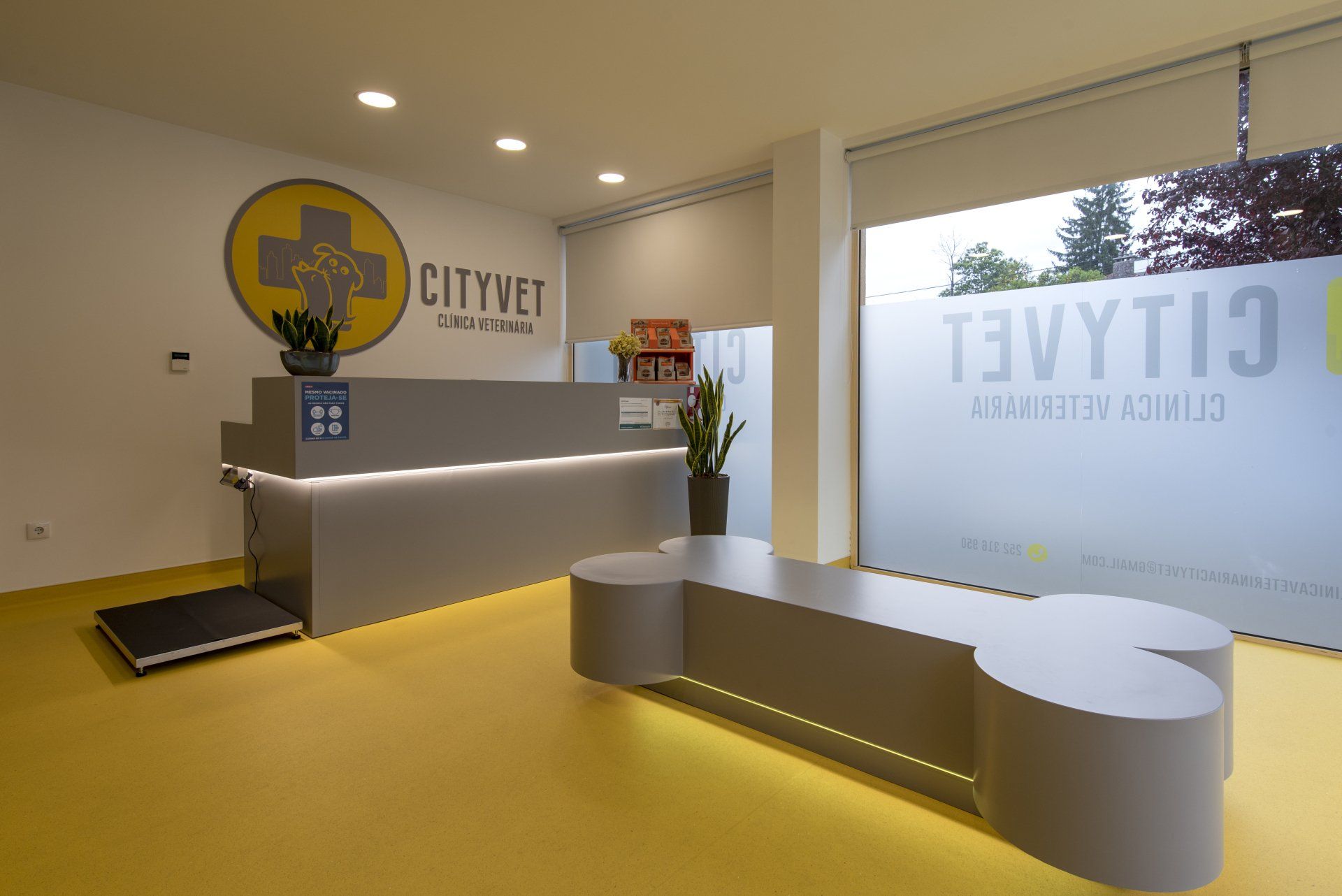 cityvet clinica veterinaria
