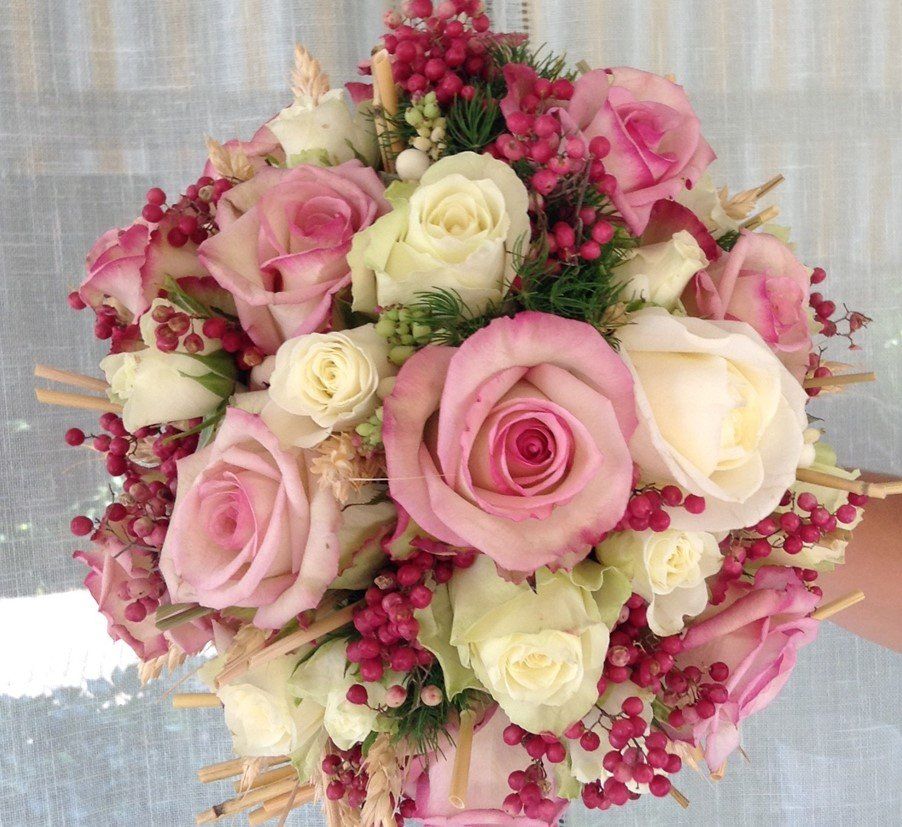 rose varietà di rosa