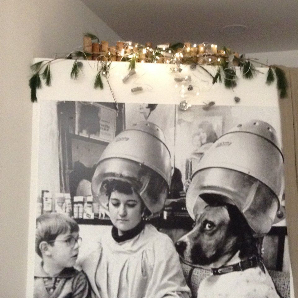 Decorazioni floreali per negozio di parrucchieri