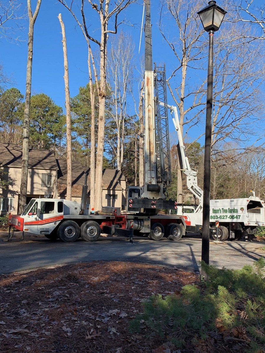 South Carolina — Two Heavy Truck Used To Cut A Tree in York, South Carolina
