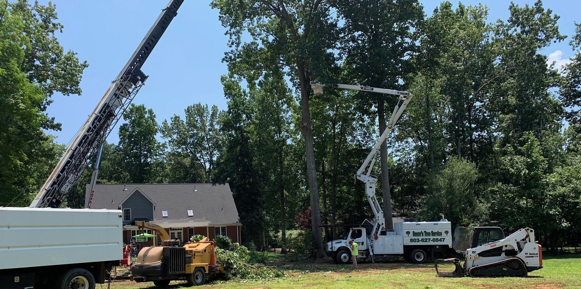 Tree Trimming | Tree Pruning — York, South Carolina — Smarr's Tree ...