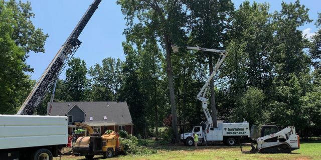 Tree Services — Worker Using Heavy Truck To Cut A Tree in York, South Carolina