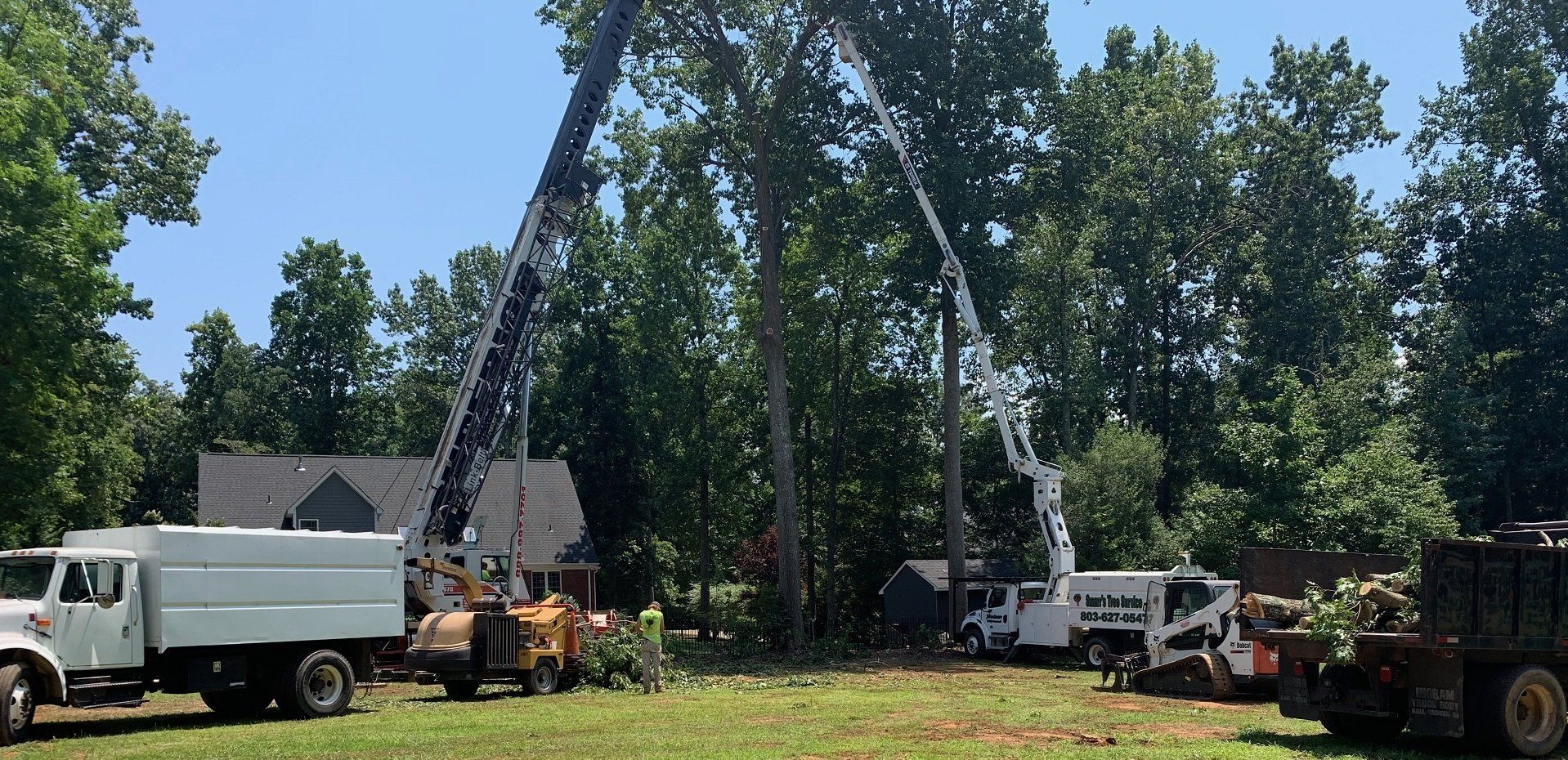 Tree Pruning — Professional Tree Cutters Trimming A Tree in York, South Carolina