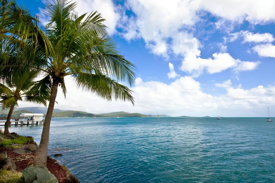 Palm Tree on the Shore of a Body of Water — Supercare Gold Coast in Palm Beach, QLD
