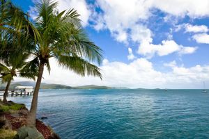 Palm Tree on the Shore of a Body of Water — Supercare Gold Coast in Palm Beach, QLD
