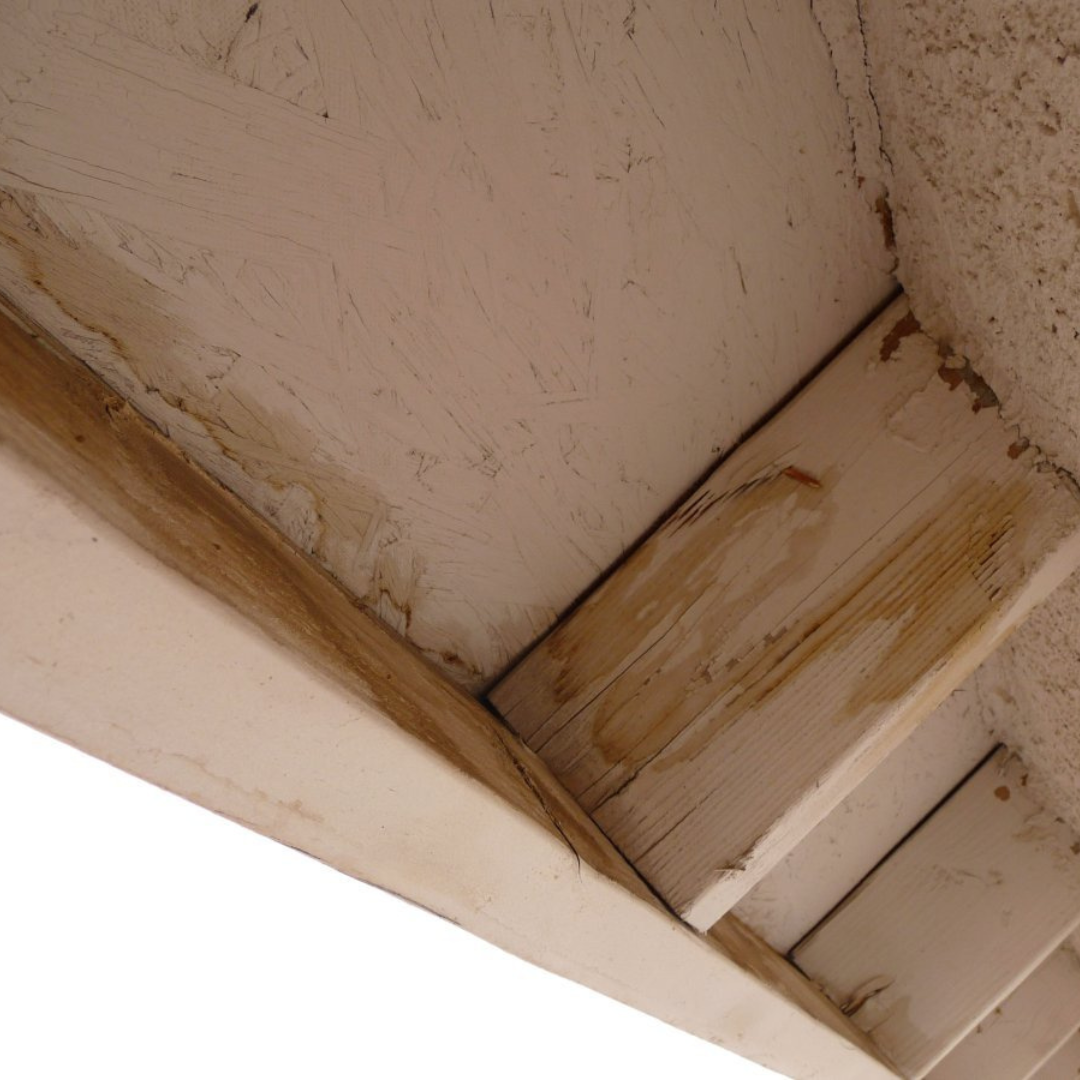 Water damage to the soffit caused by wind blown shingles.