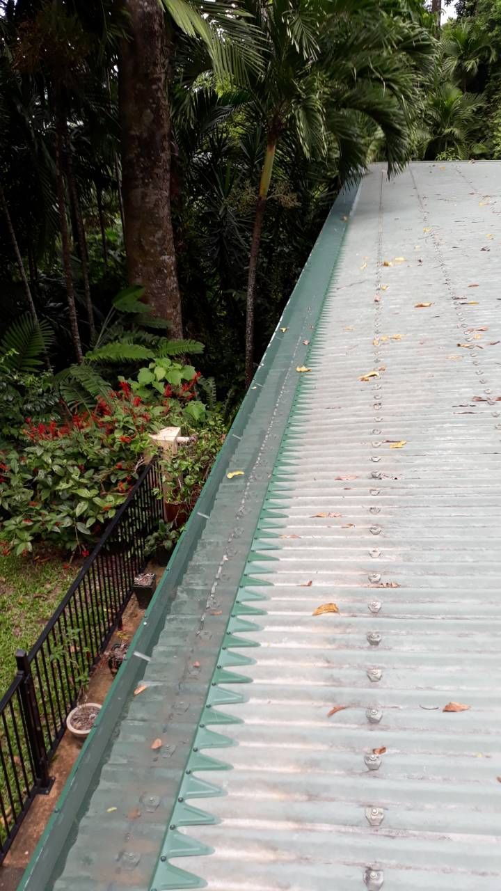 Green Corrugated Metal Roof with Gutter, Beside a Forest with A Metal Fence — All-Clear Gutter Guard NQ in Speewah, QLD
