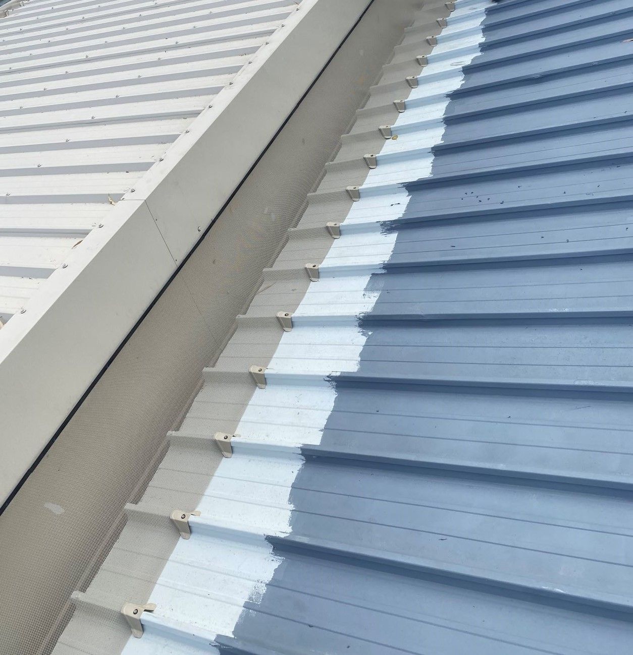 Partially Painted Blue Metal Roof, with White Trim and Gutter in Daylight — All-Clear Gutter Guard NQ in Mt Sheridan, QLD
