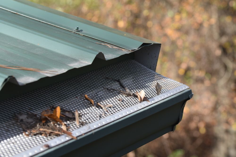 Green Metal Roof Gutter with Mesh Guard, Containing Leaves — All-Clear Gutter Guard NQ in Bentley Park, QLD