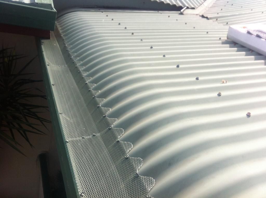 Light Green Corrugated Metal Roof with Visible Fasteners — All-Clear Gutter Guard NQ in Julatten, QLD