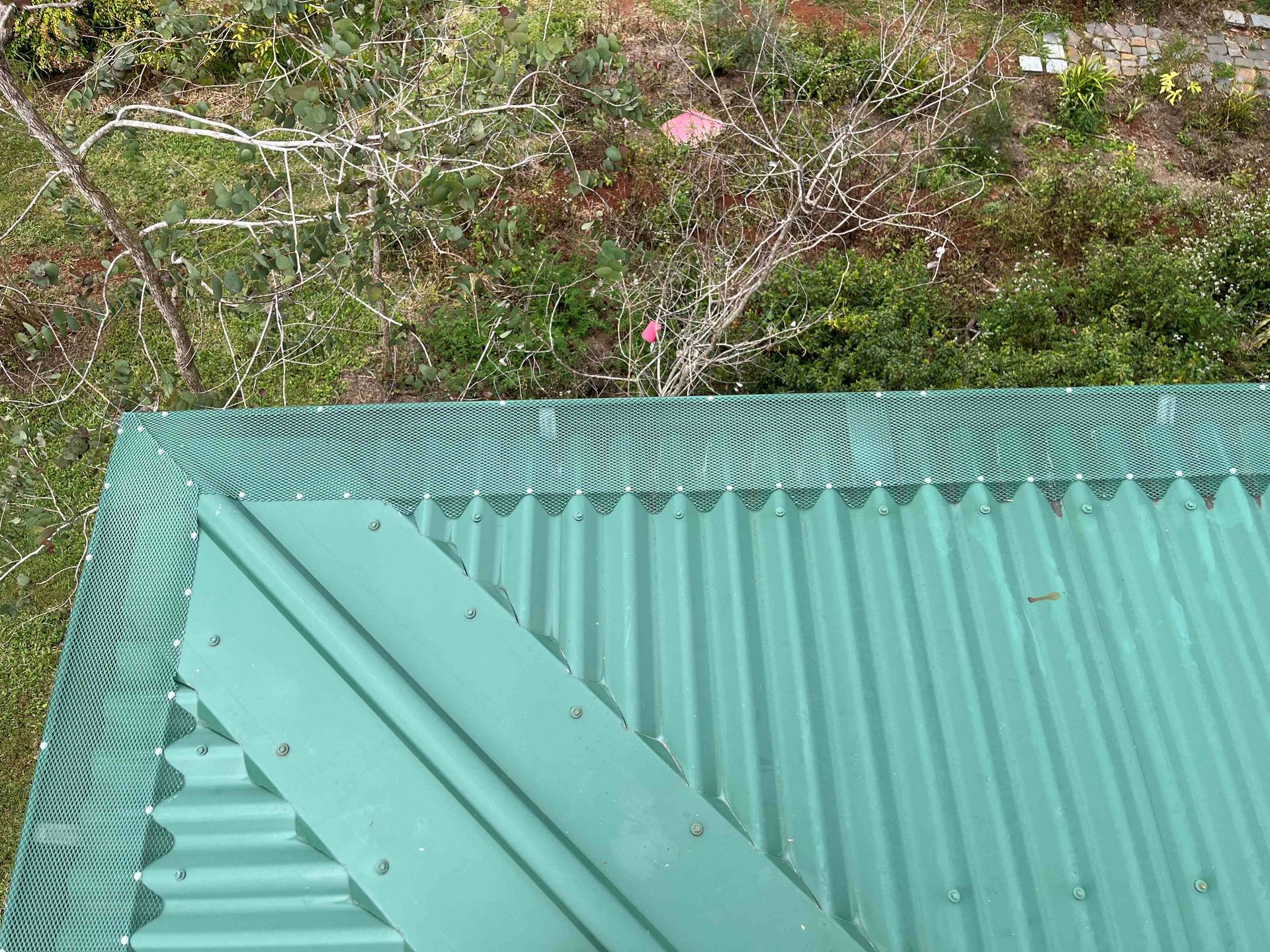 A Green Roof Is Surrounded by Trees and Grass — All-Clear Gutter Guard NQ in Cairns, QLD