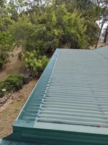 A Green Roof With a Gutter on It is Surrounded by Trees — All-Clear Gutter Guard NQ in Gordonvale, QLD