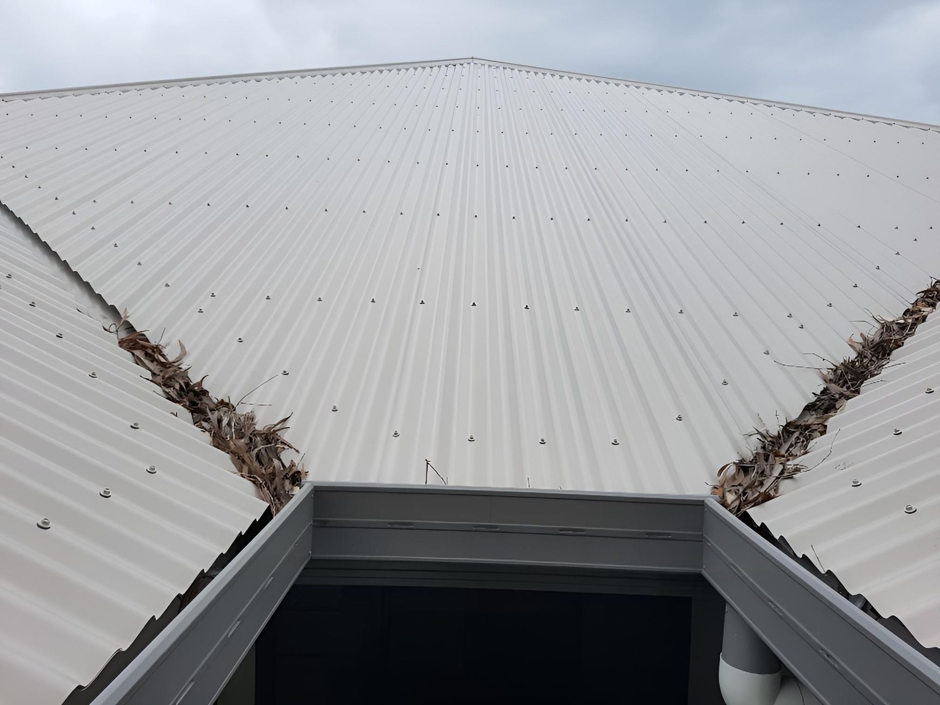 White Corrugated Metal Roof with Leaves in The Gutters, Against a Cloudy Sky — All-Clear Gutter Guard NQ in Trinity Park, QLD