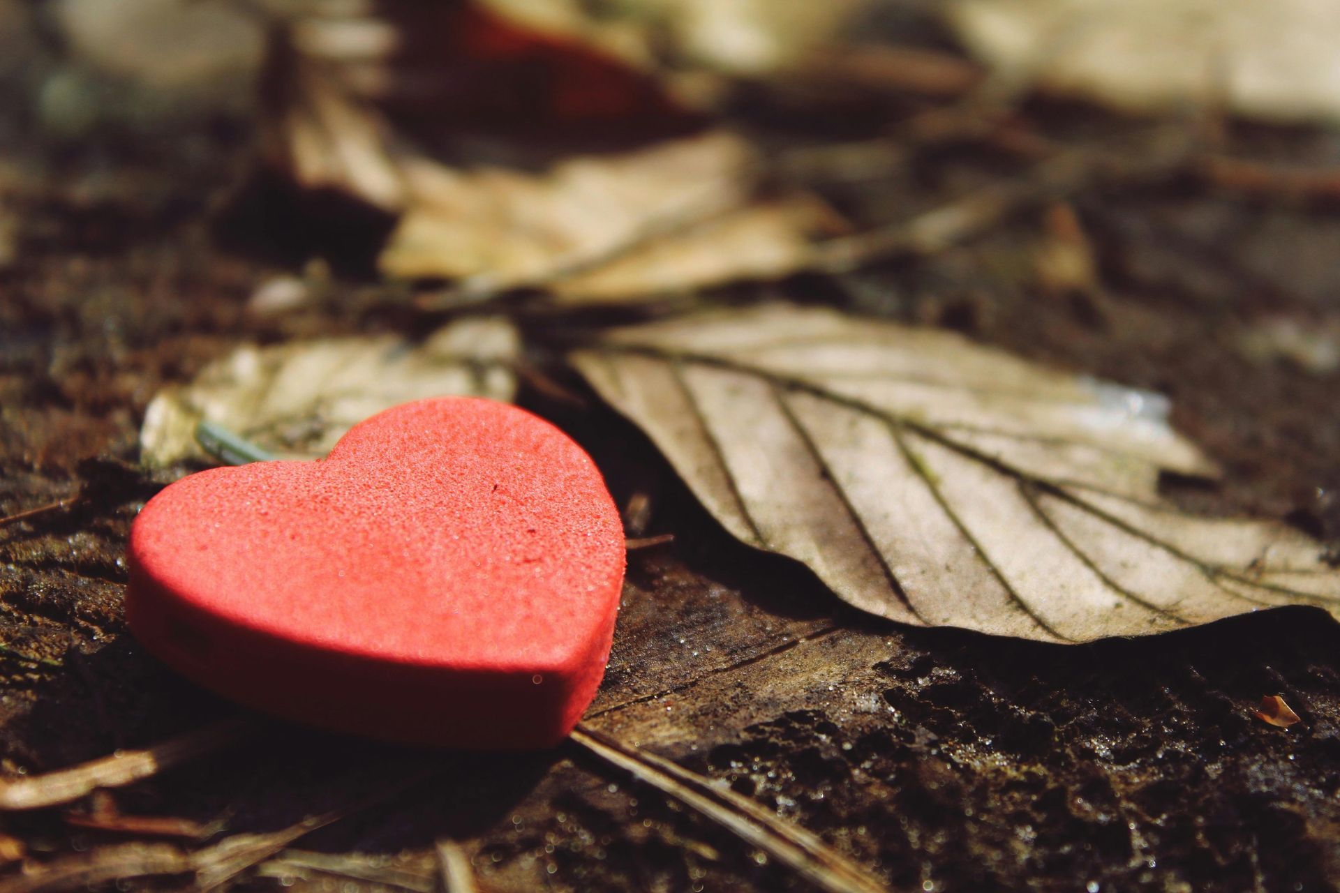 A red heart is sitting on the ground next to a leaf.