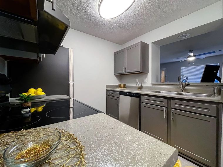 Kitchen in apartment with gray cabinets, stainless sink, dishwasher, glass-top stove, and a pass-through to the living area.