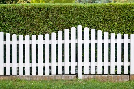 vinyl fence and greenery wall