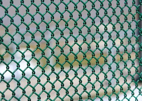 green coated chain link fence