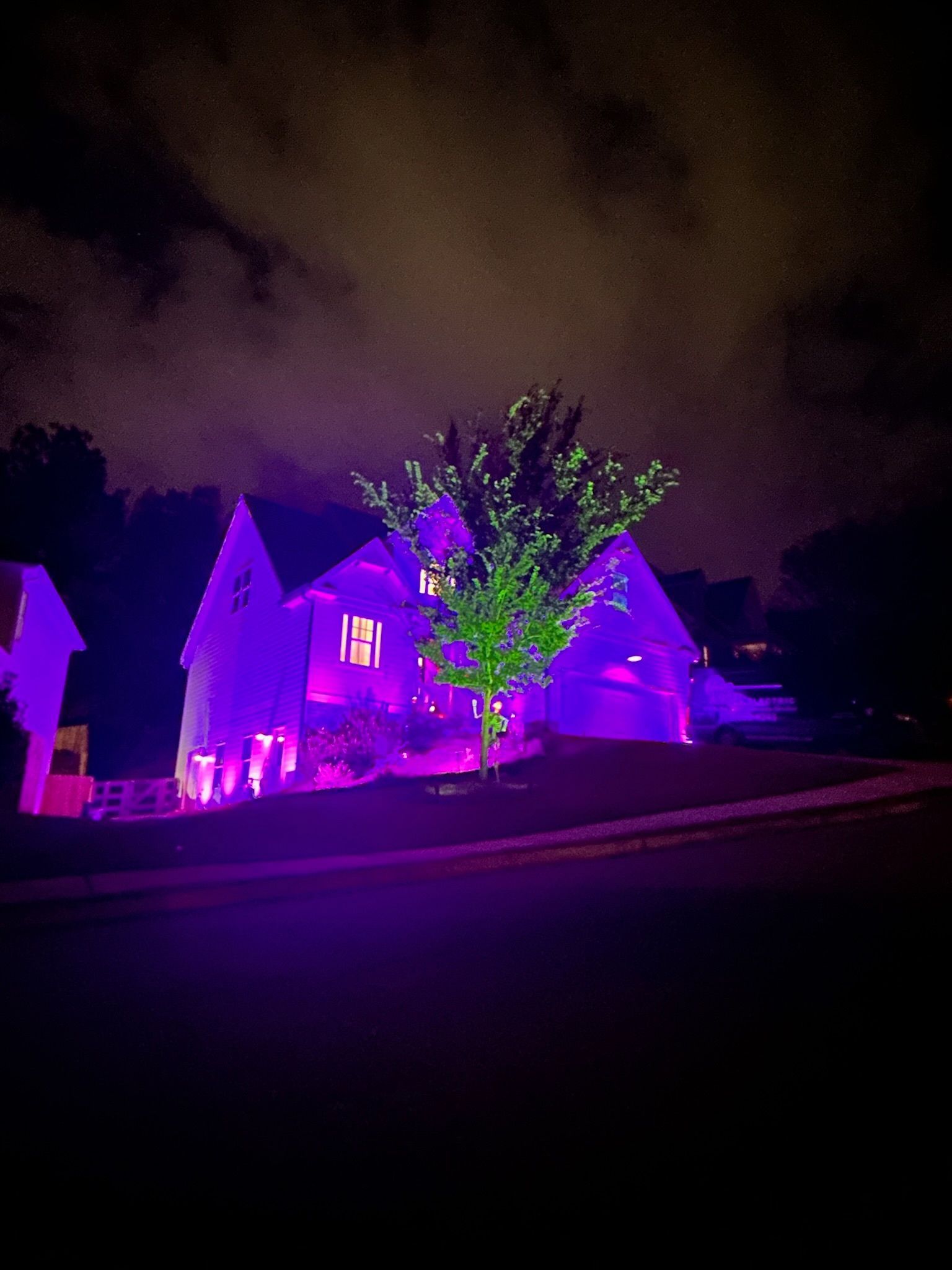 House and tree illuminated in purple light at night.