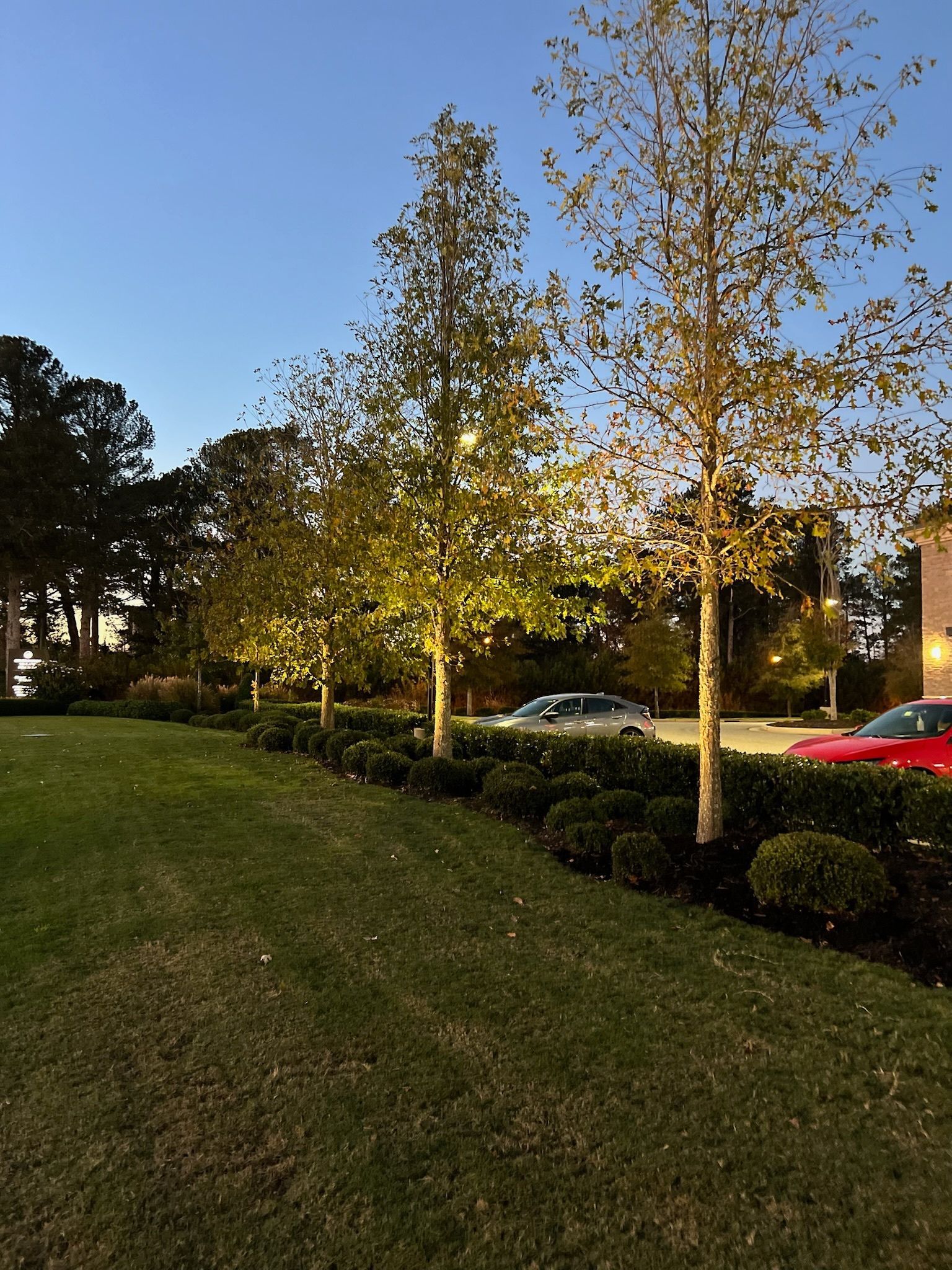 Lush green lawn with trees, shrubs, and cars near a road at dusk; lit with warm lights.