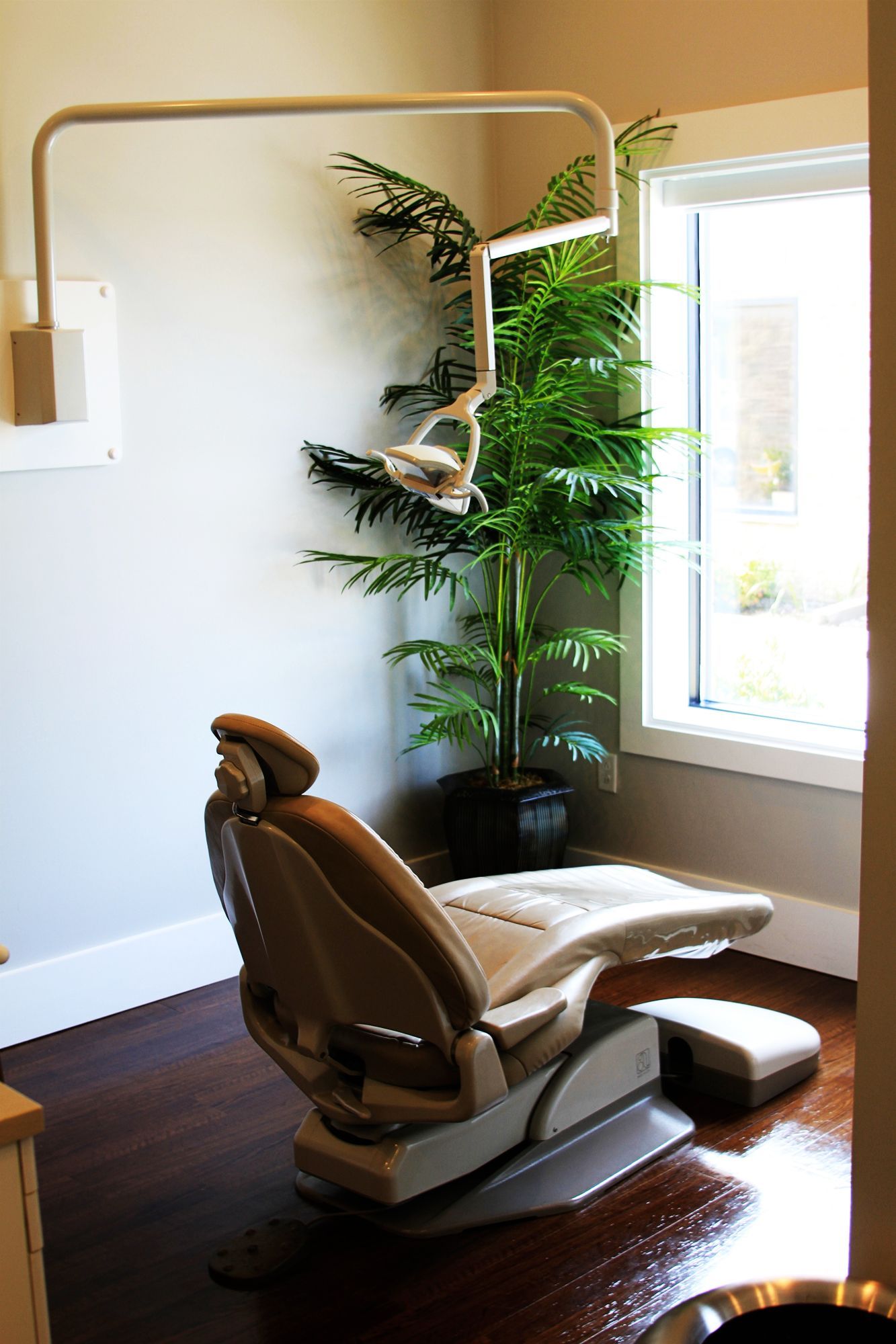 a dental chair with a palm tree in the background