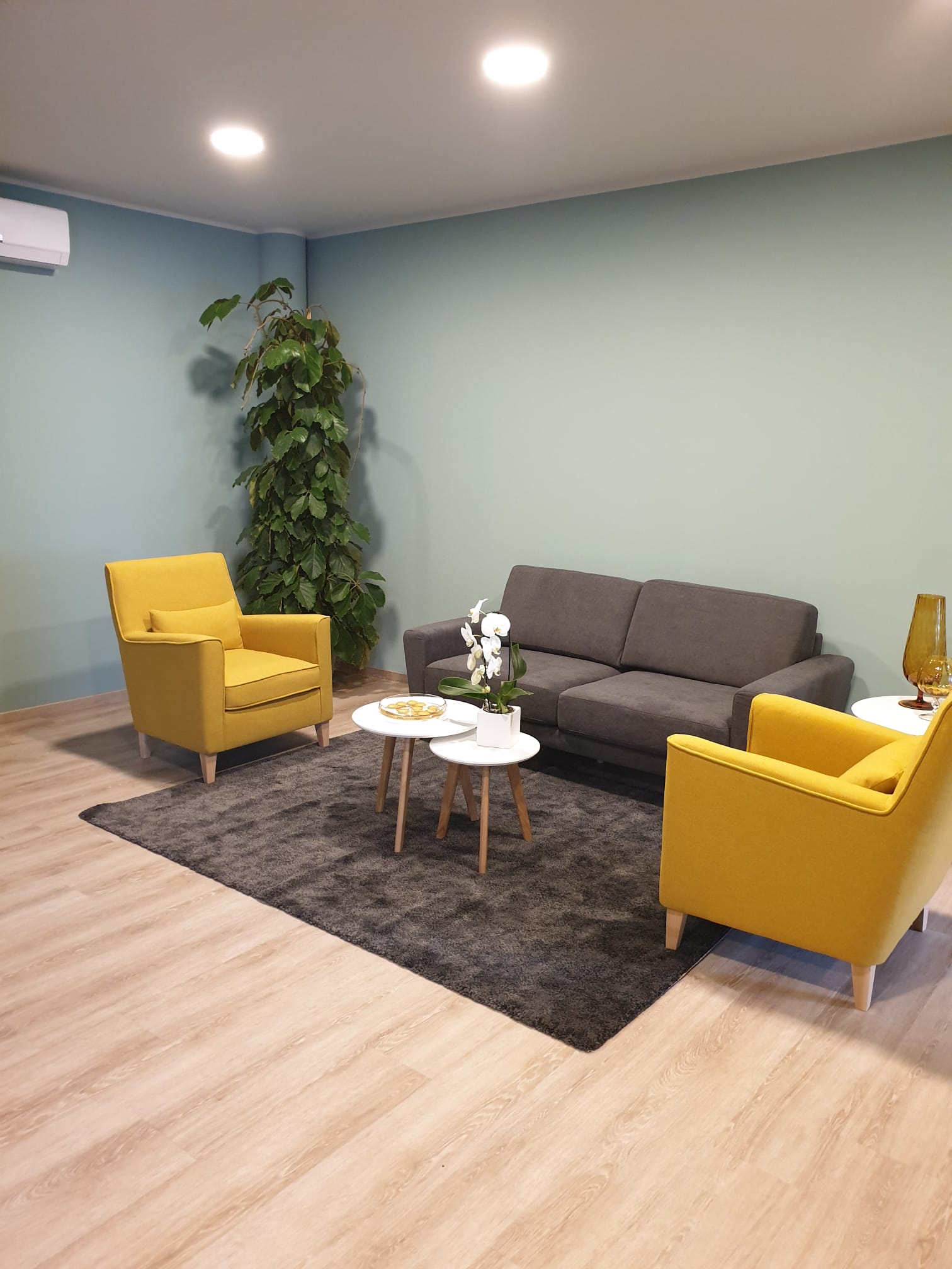 interni agenzia con divani e poltrone