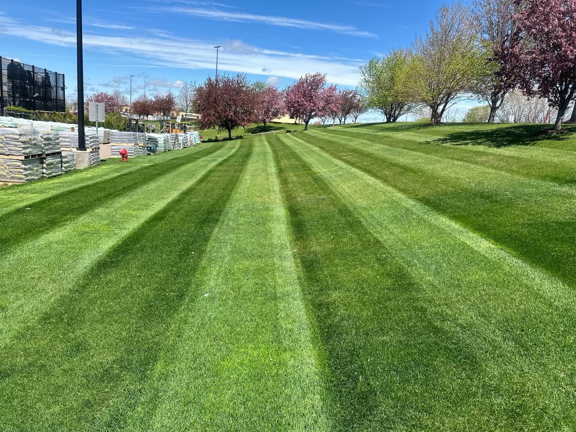 Lawn Care | St. Michael, MN | LADC Companies