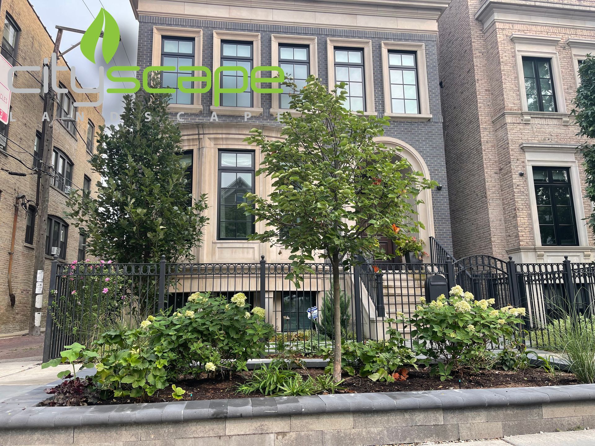 Trees and shrubs in a raised bed in front of a brick building with windows and a wrought iron fence.