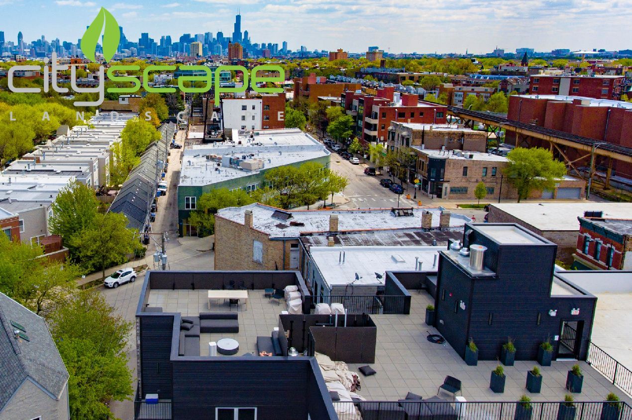 Aerial view of city street with rooftops, Chicago skyline in the distance, green