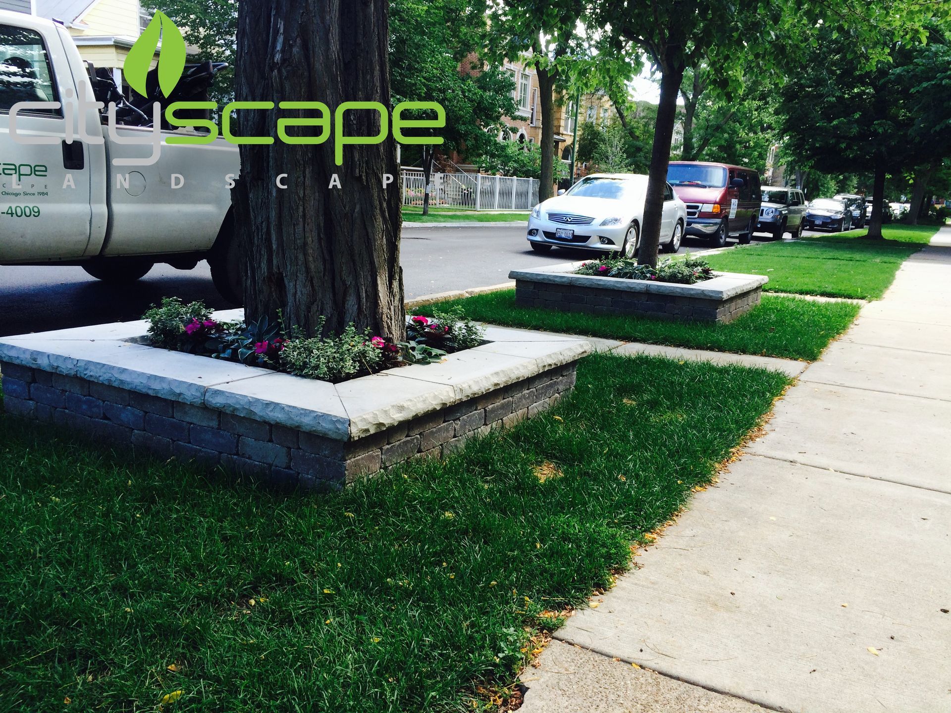 Street trees with rectangular stone planters, surrounded by grass and sidewalk. A landscaping truck is visible.