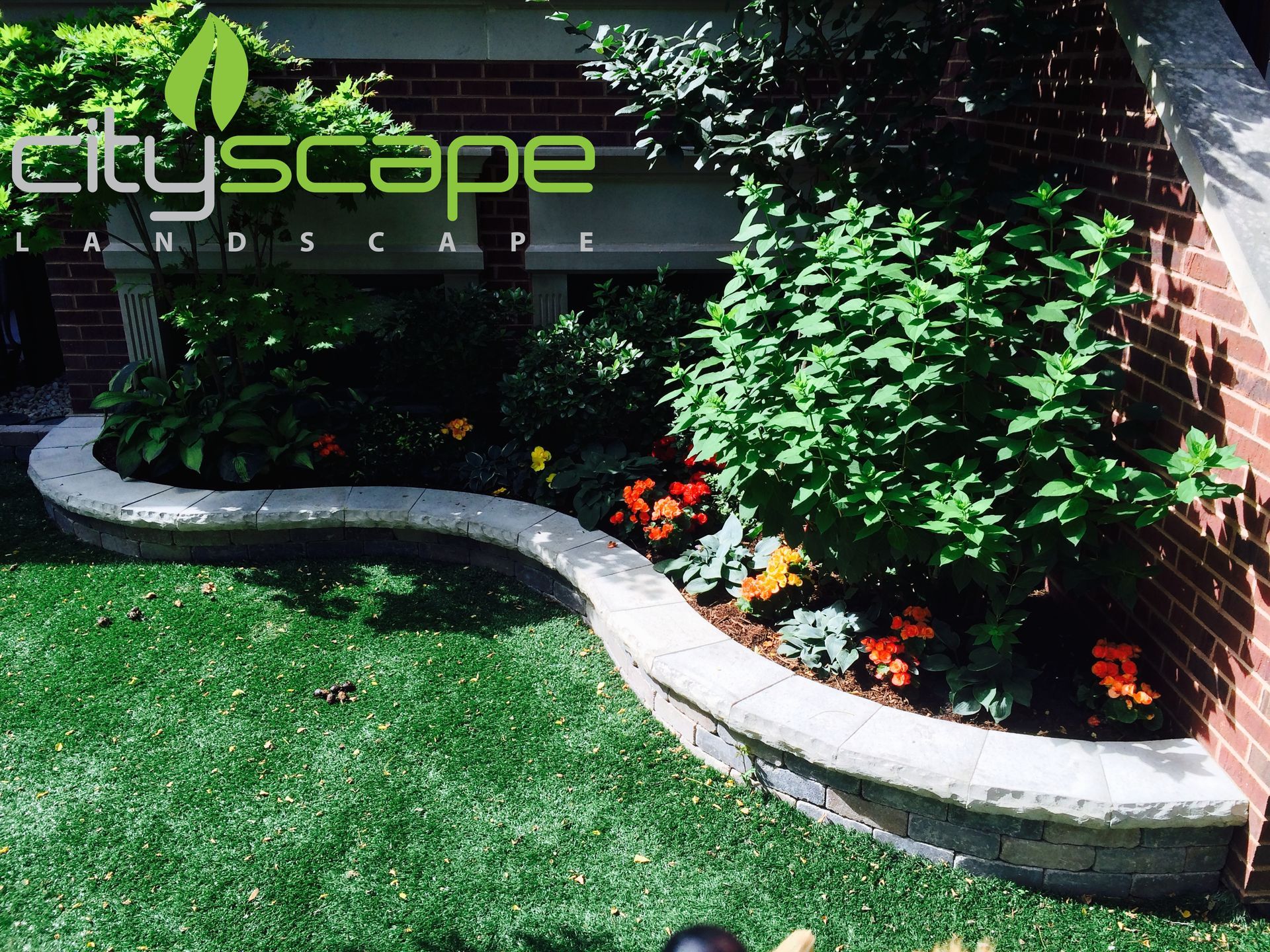 Curving stone-edged flower bed with green lawn and brick building background. Orange and yellow flowers.