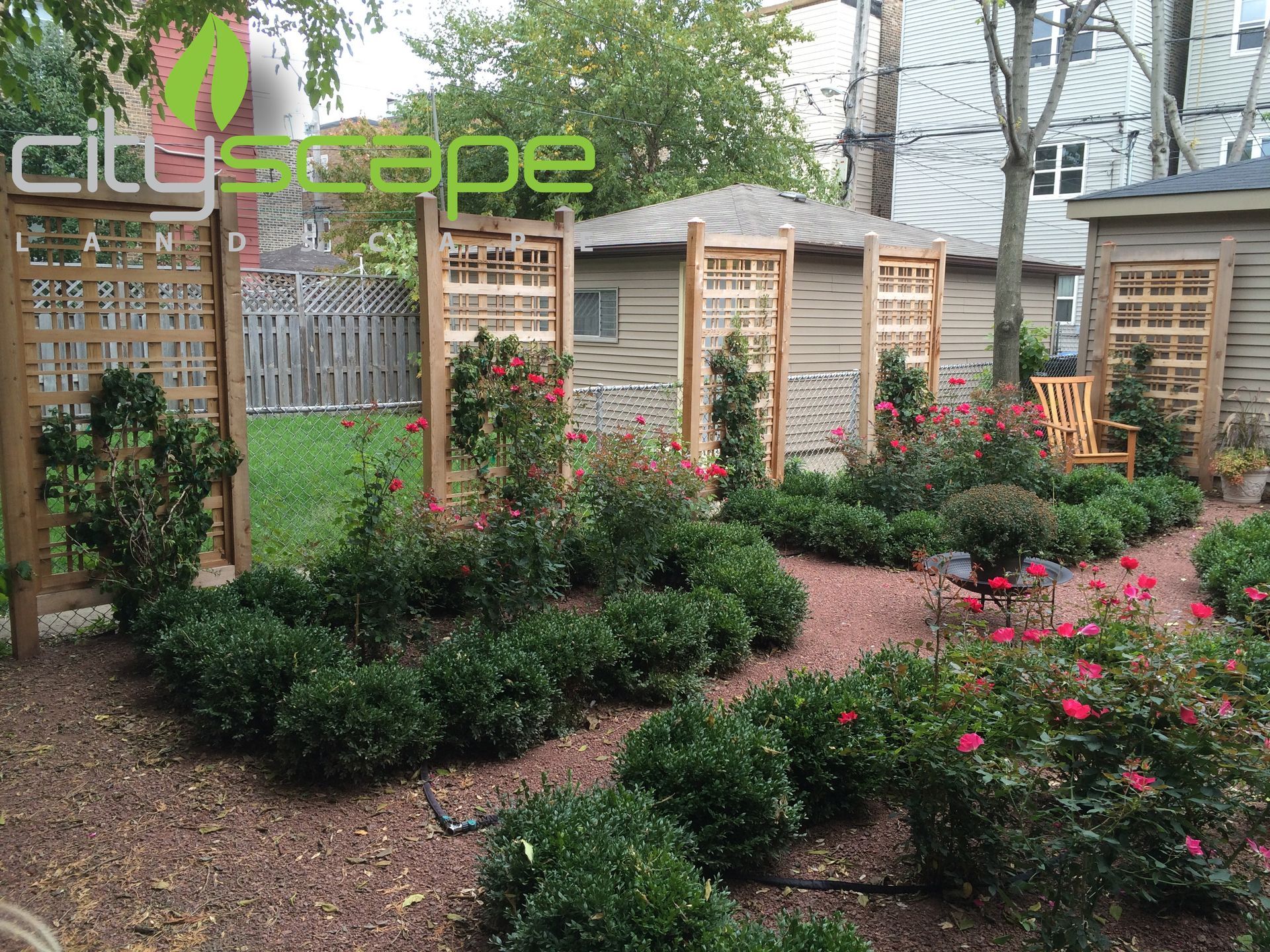 A garden with wooden trellises and rose bushes on reddish gravel; trees and a wooden shed in the background.