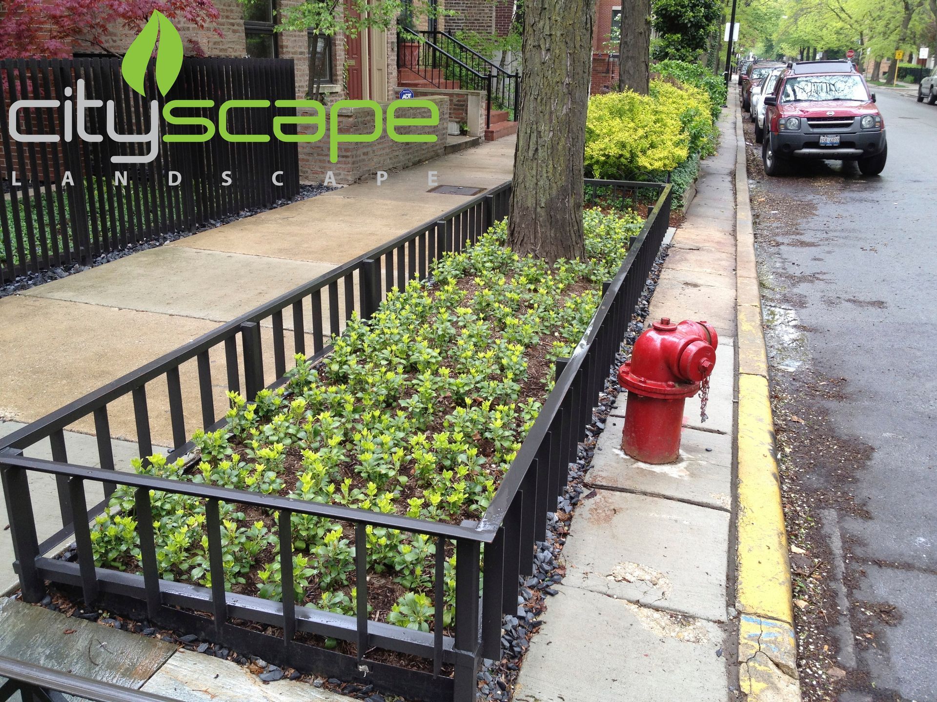 Black metal-fenced tree bed with green shrubs next to a sidewalk and street, red fire hydrant visible.