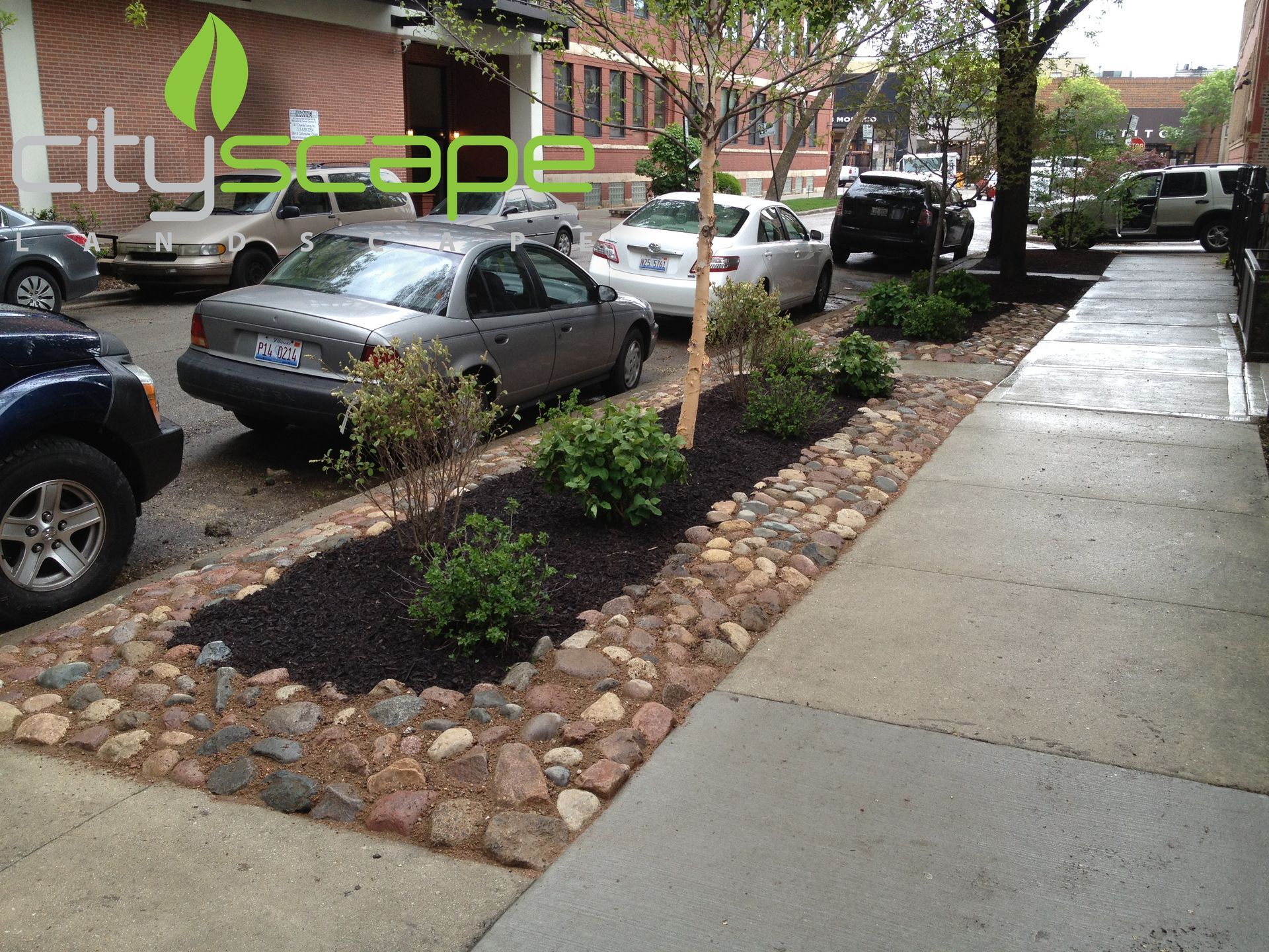Street-side landscaped area with mulch, rocks, and bushes next to parked cars and a sidewalk.