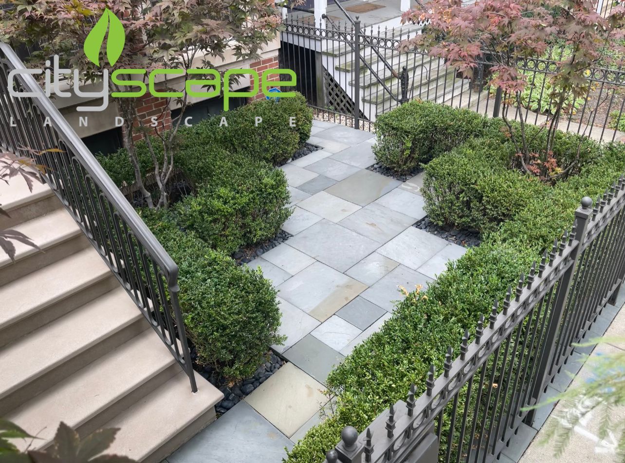 A paved city garden with boxwood shrubs, steps, and wrought iron railings.