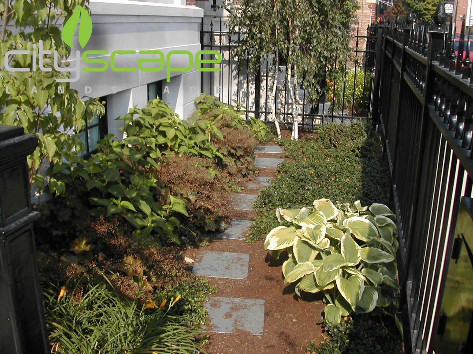 Narrow garden path with stepping stones, flanked by greenery and a black wrought iron fence.