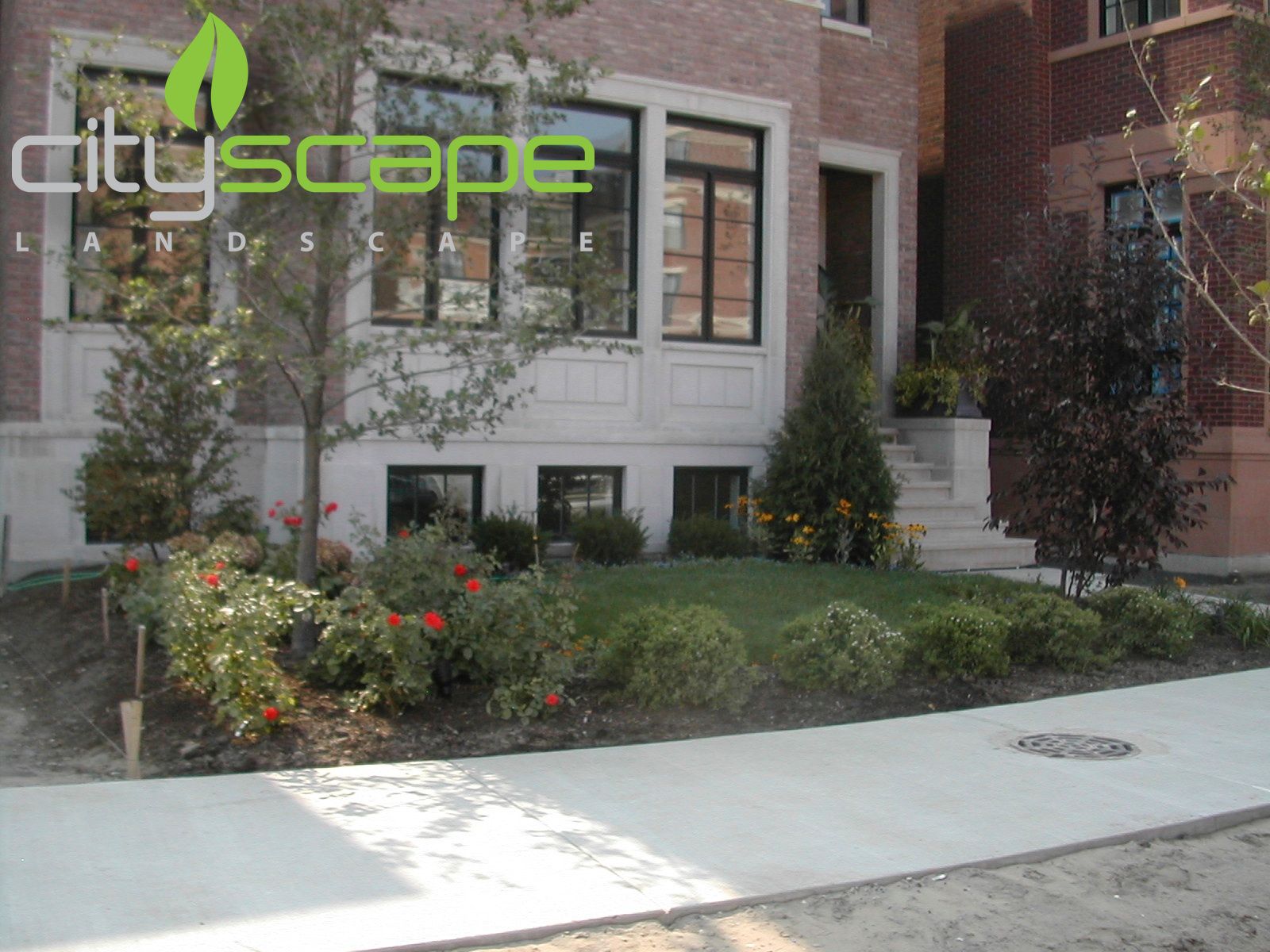 A landscaped front yard with shrubs and flowers, in front of a brick building.
