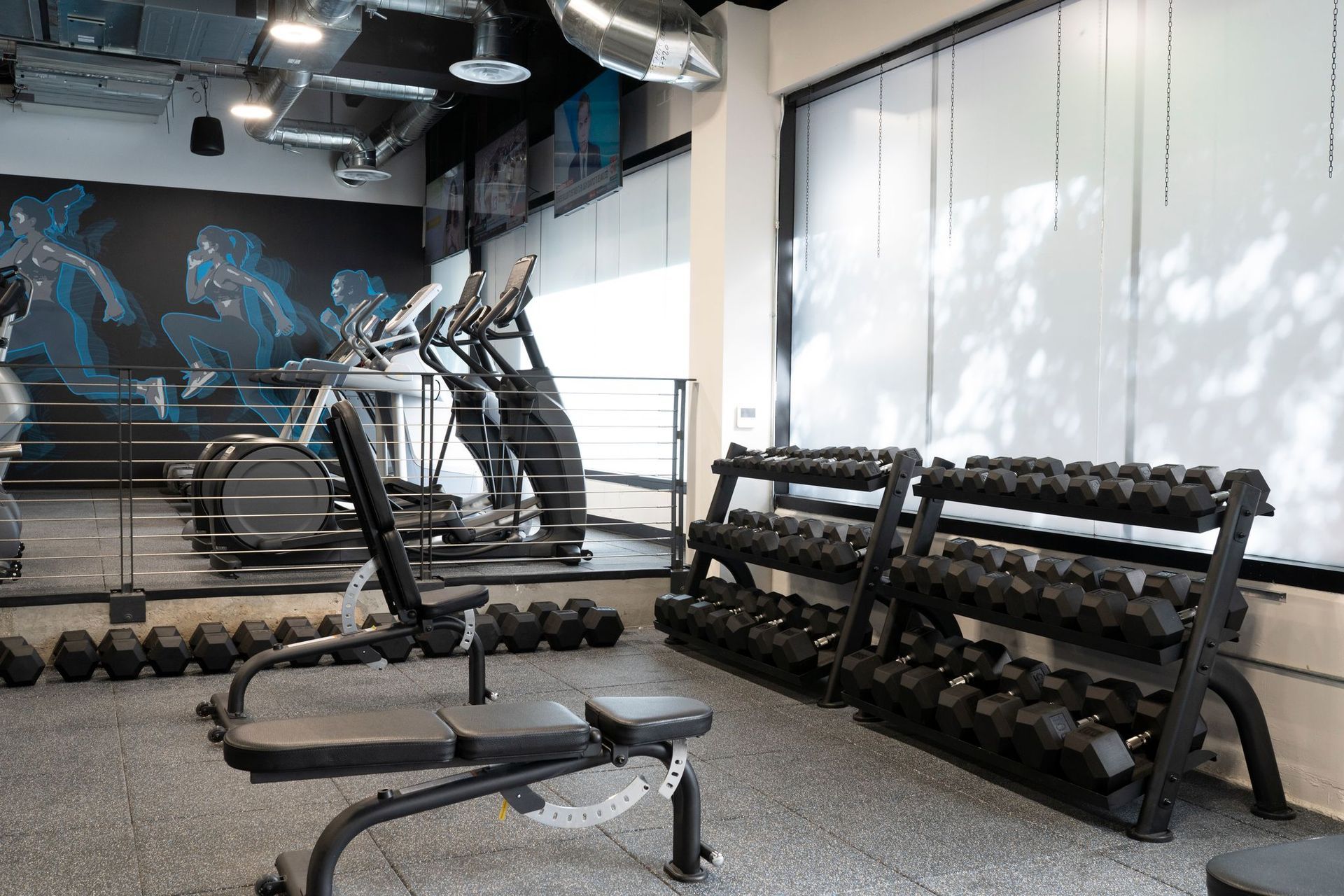 A gym with a lot of dumbbells and a bench.
