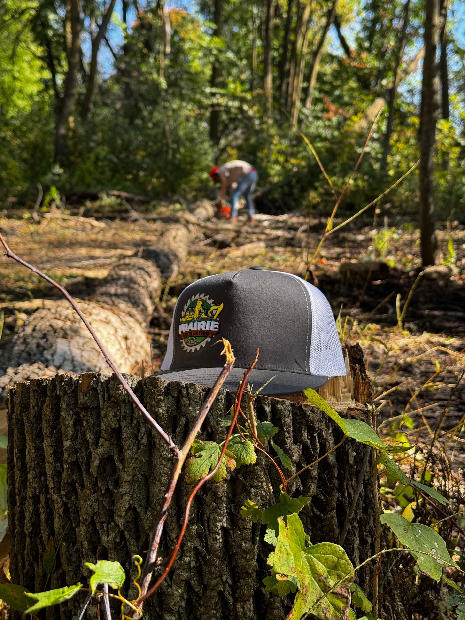 Hat on tree stump, person in background cutting logs in a wooded area.