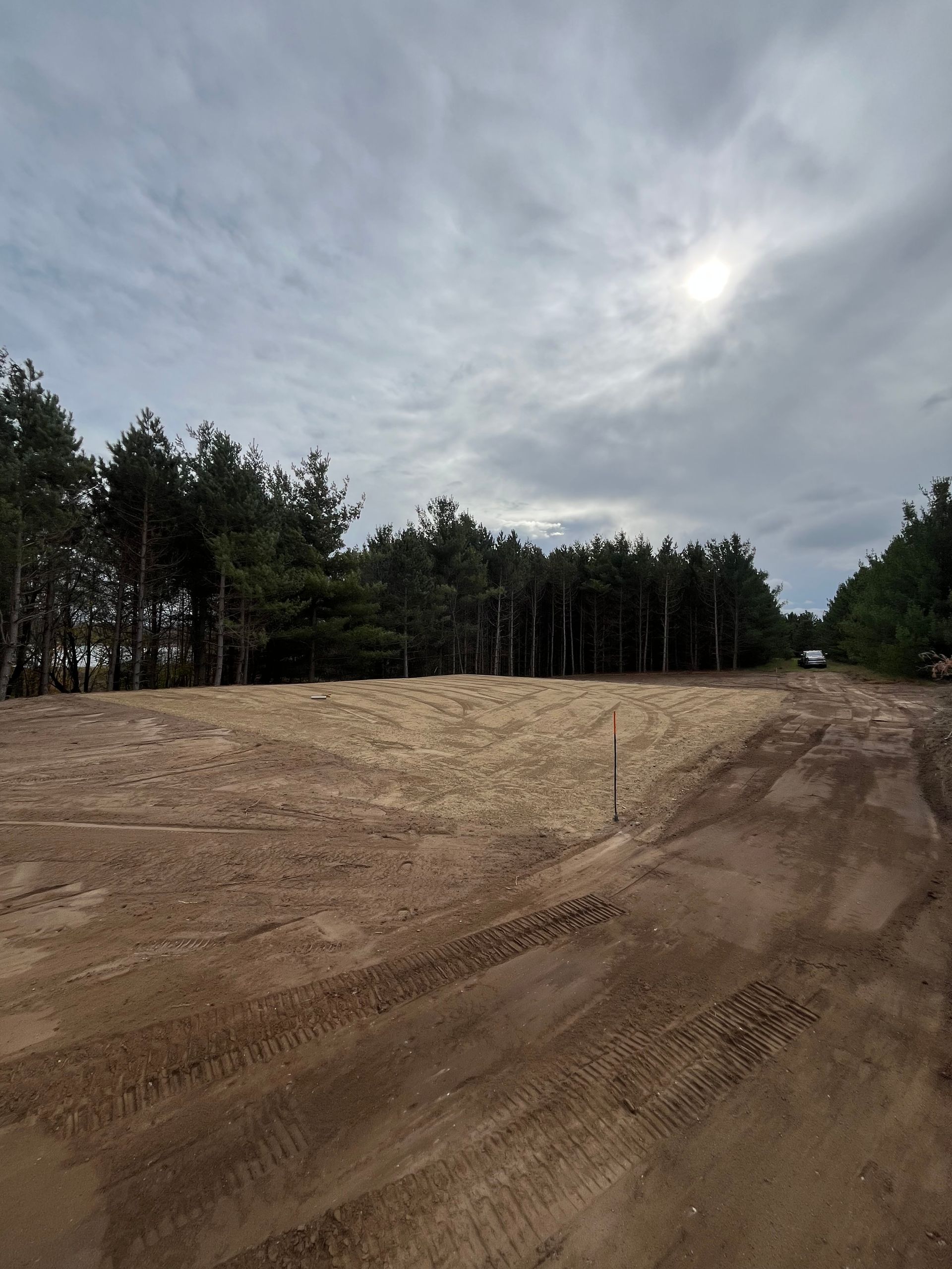 Dirt road leading to a clearing in a forest under a cloudy sky.