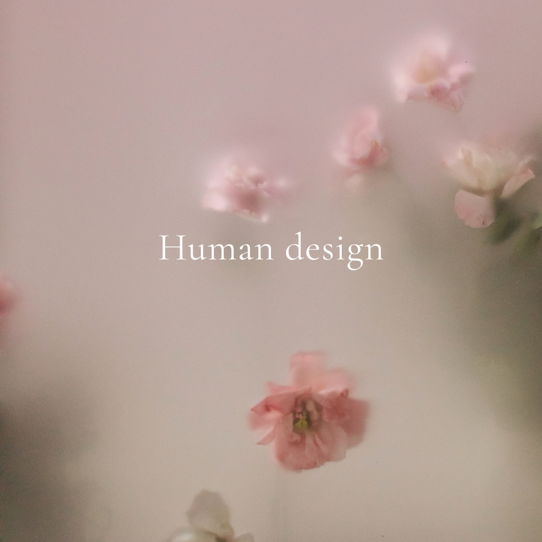 human design chart