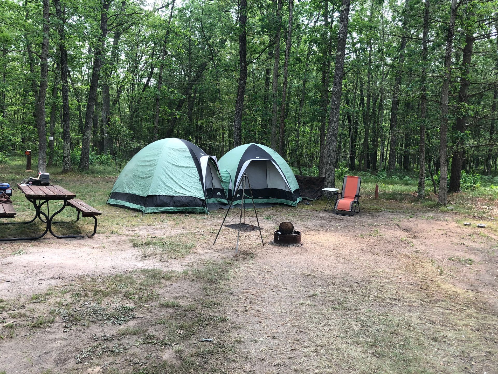 There are two tents and a picnic table in the middle of the woods.
